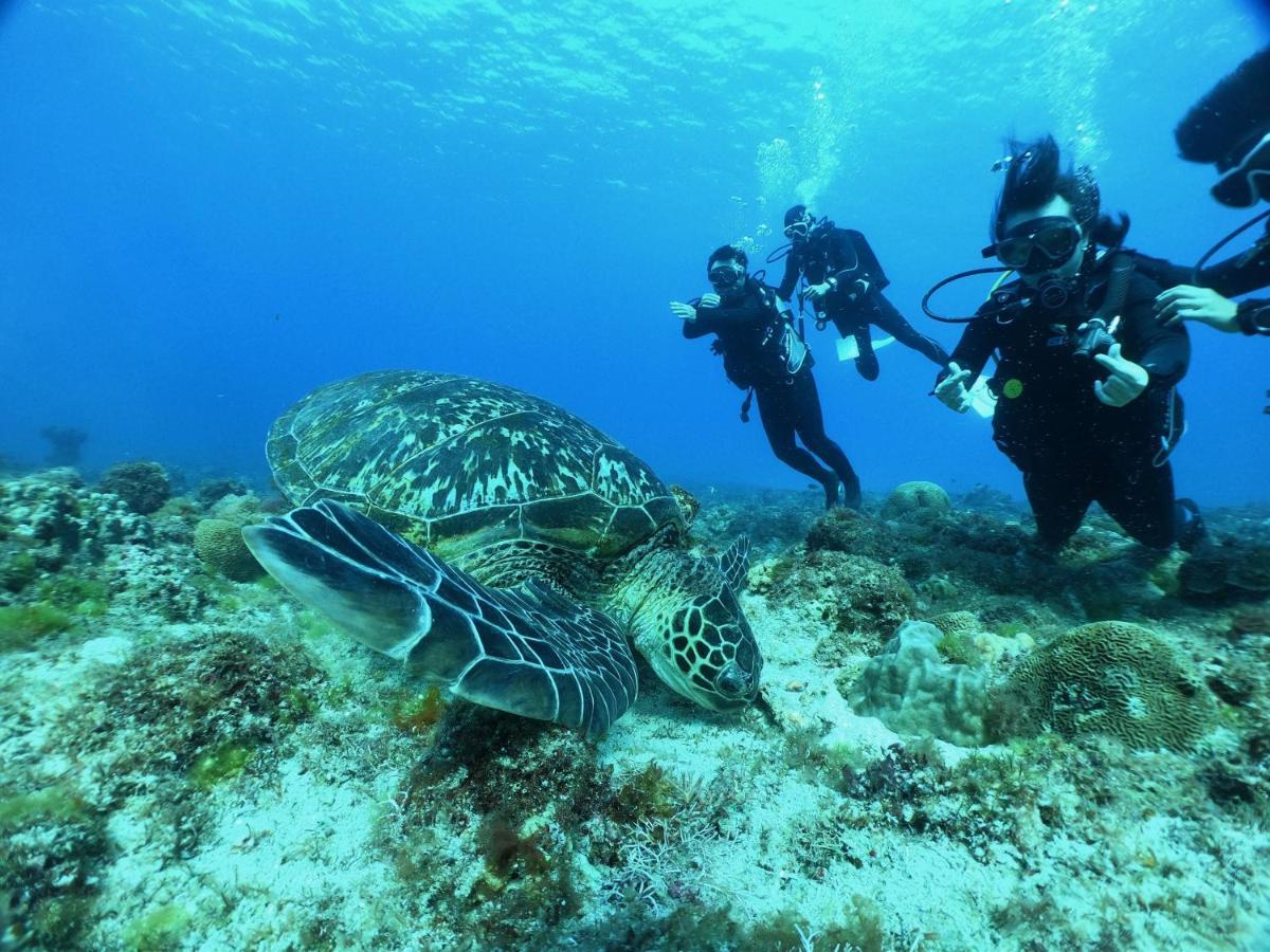 Stay Liuqiu Diving Hostel Xiaoliuqiu Εξωτερικό φωτογραφία
