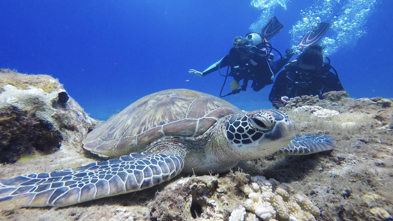 Stay Liuqiu Diving Hostel Xiaoliuqiu Εξωτερικό φωτογραφία